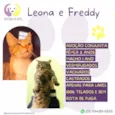 Leona e Freddy