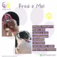 Fred e Mel