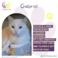 Gabriel 
