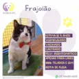Frajolão