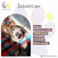 Sebastian