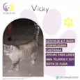 Vicky