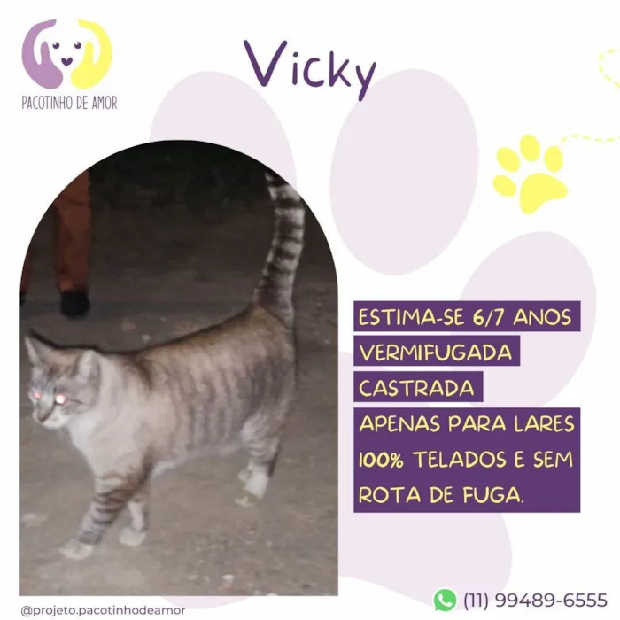 Gato ra a SRD-ViraLata idade 6 ou mais anos nome Vicky