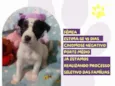 Cristal