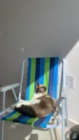 Billy
