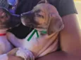 Noah já tomou a 1° dose da vacina viral