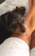 Petros