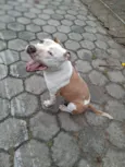 PERDIDINHO