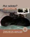 Pipo e totoya