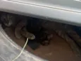 De rua
