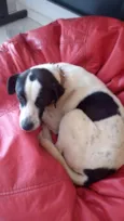 Nome desconhecido