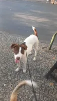 Tobi