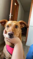 Mel 