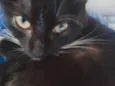 Mia