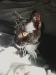 Mia