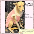 Paçoca 