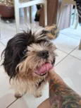 Encontrei 