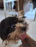 Encontrei 