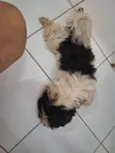 Encontrei 