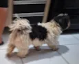 Encontrei