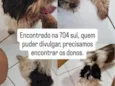 Encontrei