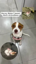 Nayla