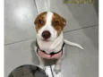Nayla