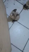 Não tem nome
