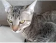 Tom