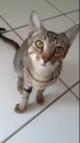 Tom
