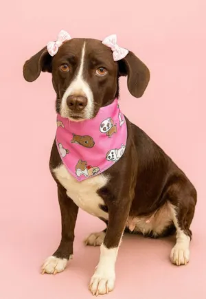 Cachorro raça SRD-ViraLata idade 2 anos nome Flor