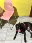 Fiona 