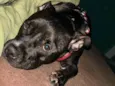 Fiona