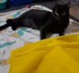 Mika 