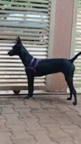 Kiara