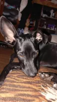 Kiara