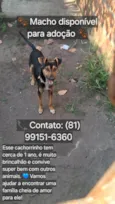 Menino