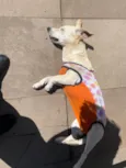 Esther