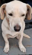 Esther