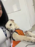 Esther