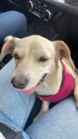 Esther
