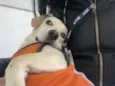 Esther