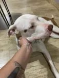 Francisca