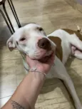 Francisca