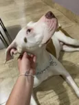 Francisca