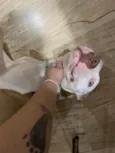 Francisca