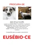 Bud (pronúncia Bâd)