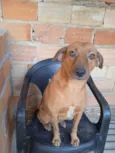 CaraMEla