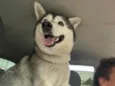 Noah