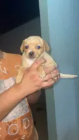 Moly